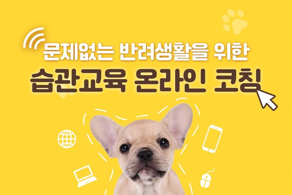 P2P 썸네일 이미지