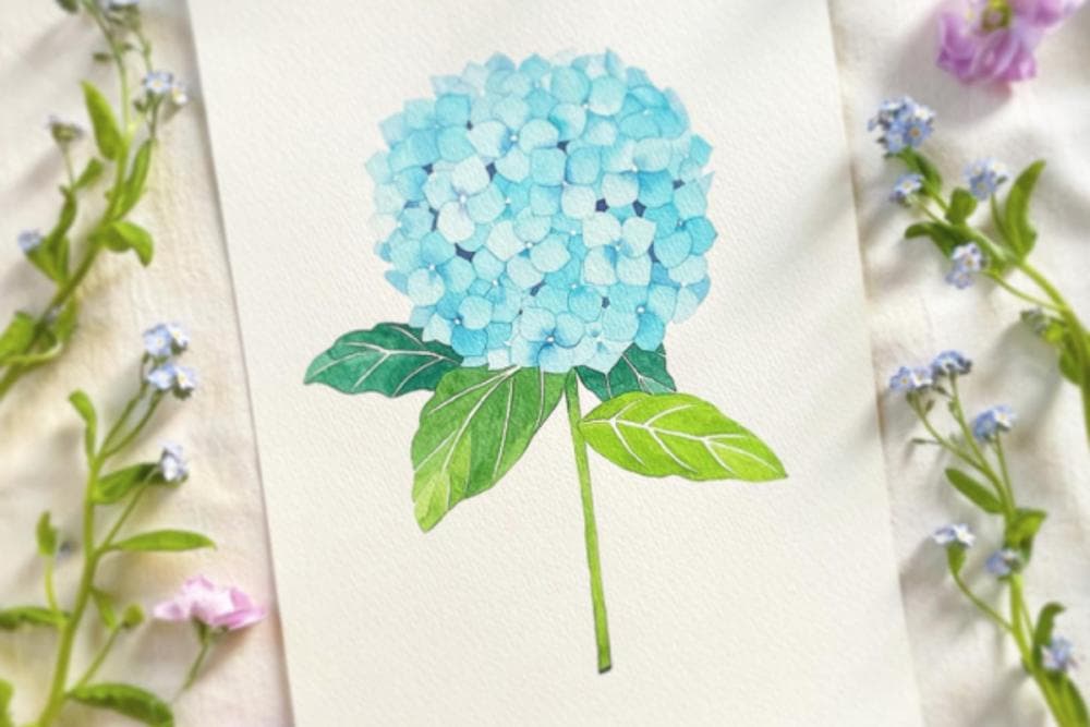 P2P 썸네일 이미지