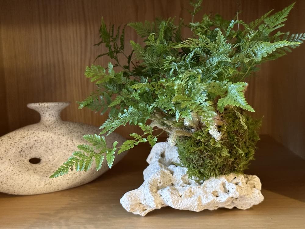 P2P 썸네일 이미지