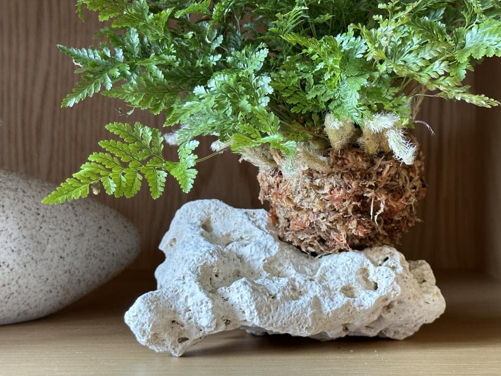 P2P 썸네일 이미지