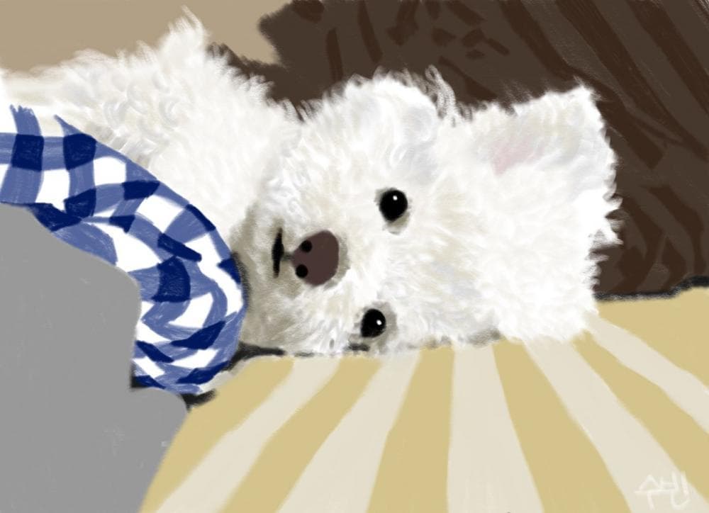 P2P 썸네일 이미지