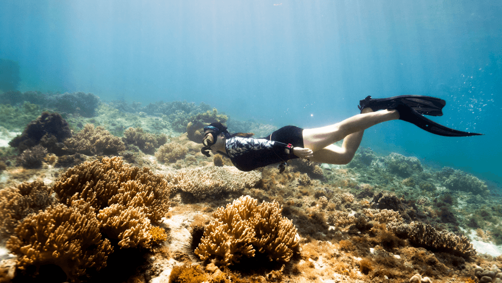 P2P 썸네일 이미지