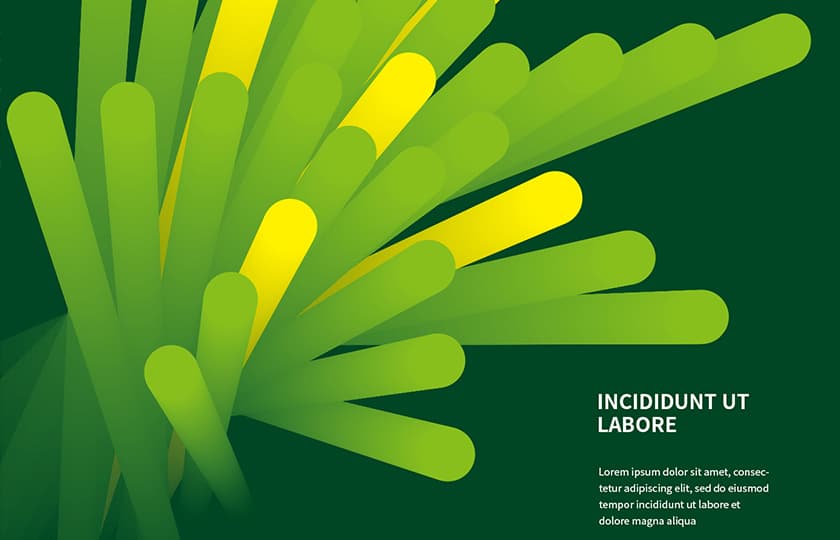 P2P 썸네일 이미지