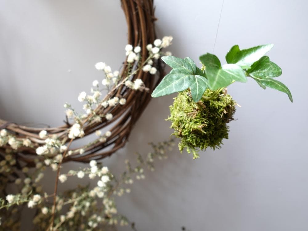 P2P 썸네일 이미지