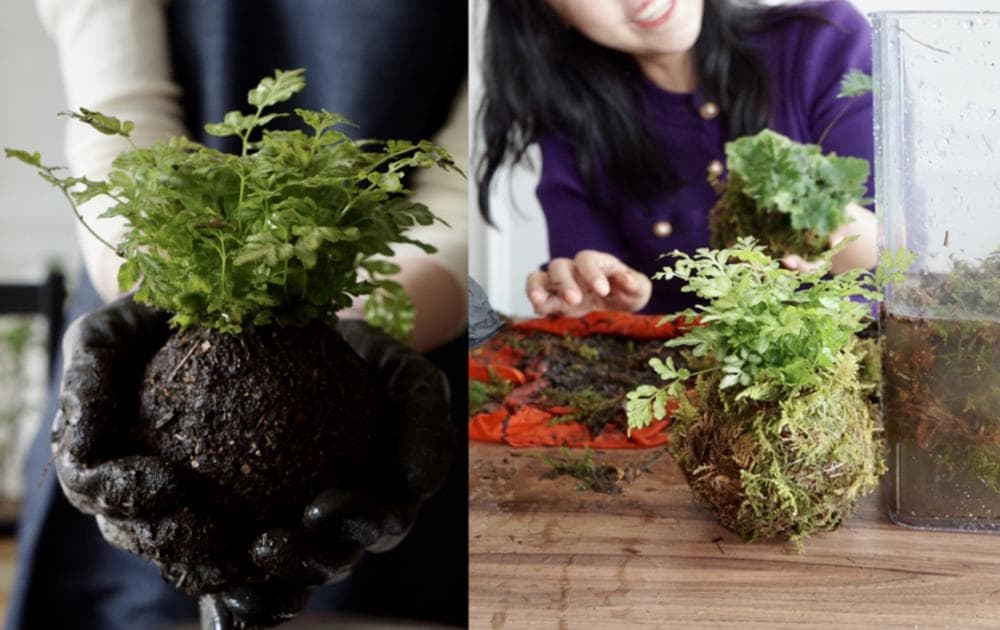 P2P 썸네일 이미지