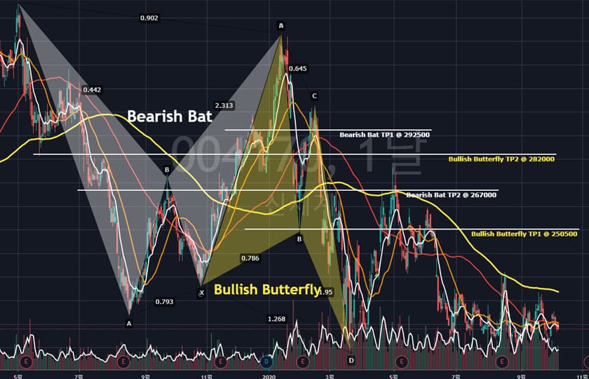 P2P 썸네일 이미지