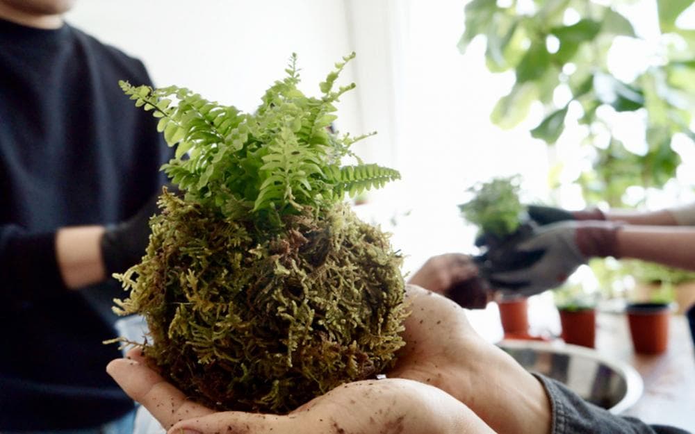 P2P 썸네일 이미지