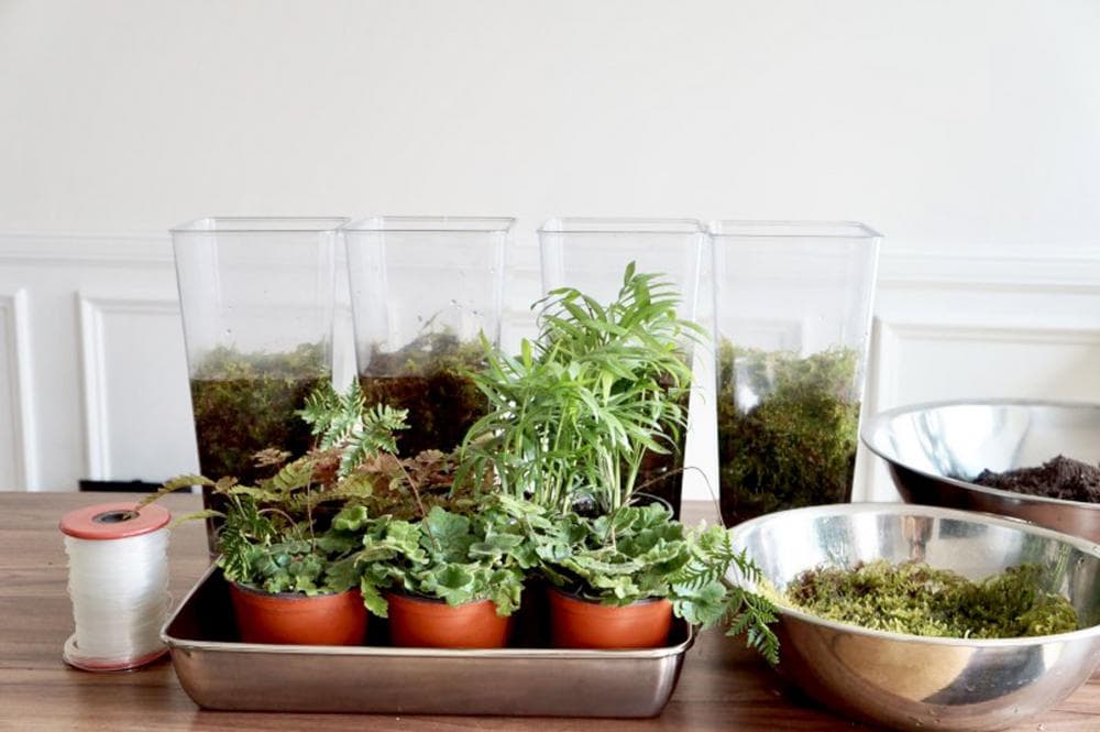 P2P 썸네일 이미지