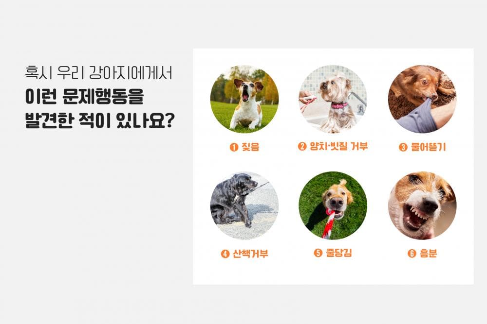 P2P 썸네일 이미지