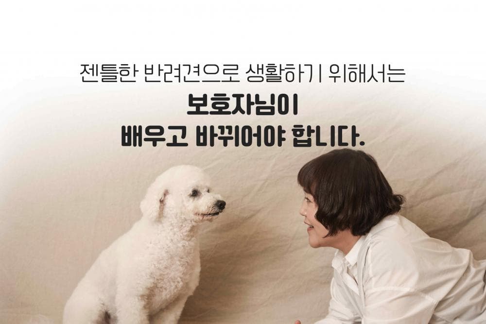 P2P 썸네일 이미지