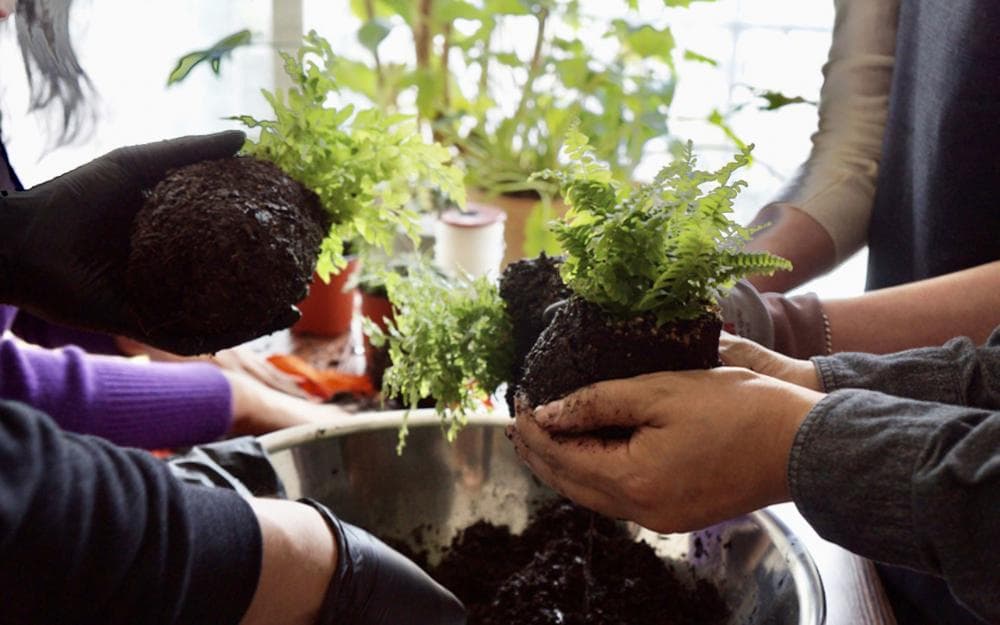 P2P 썸네일 이미지