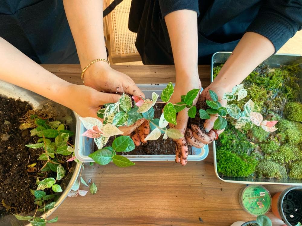 P2P 썸네일 이미지