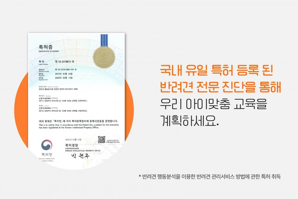 P2P 썸네일 이미지