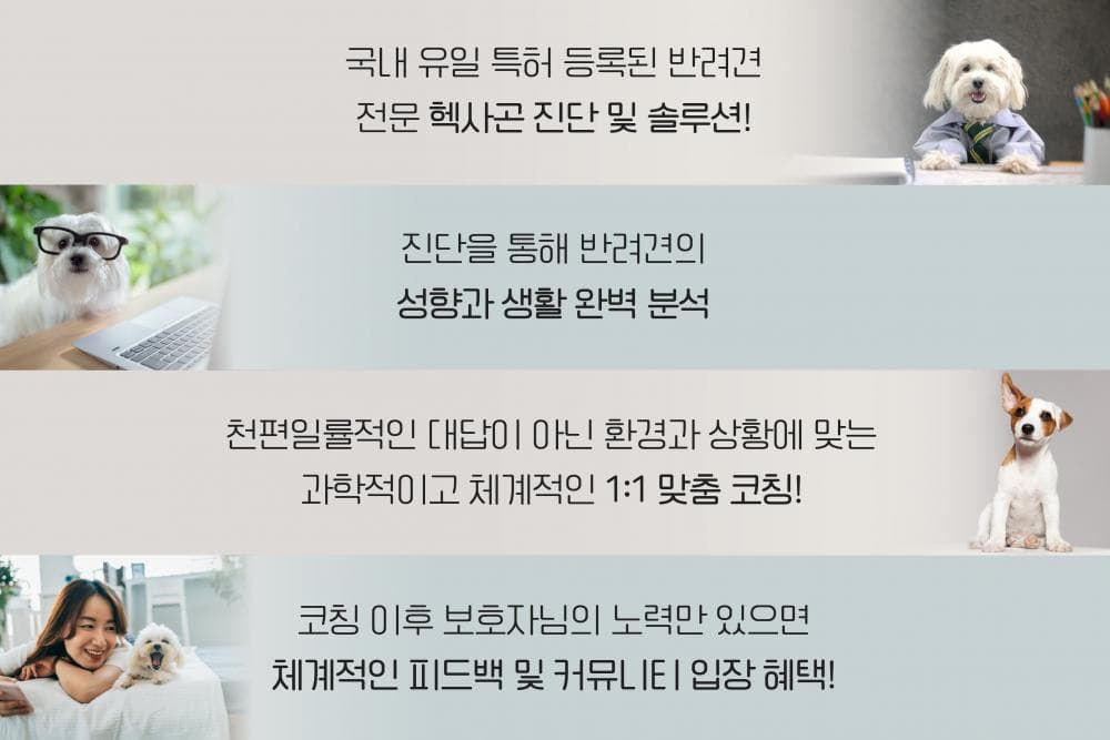 P2P 썸네일 이미지