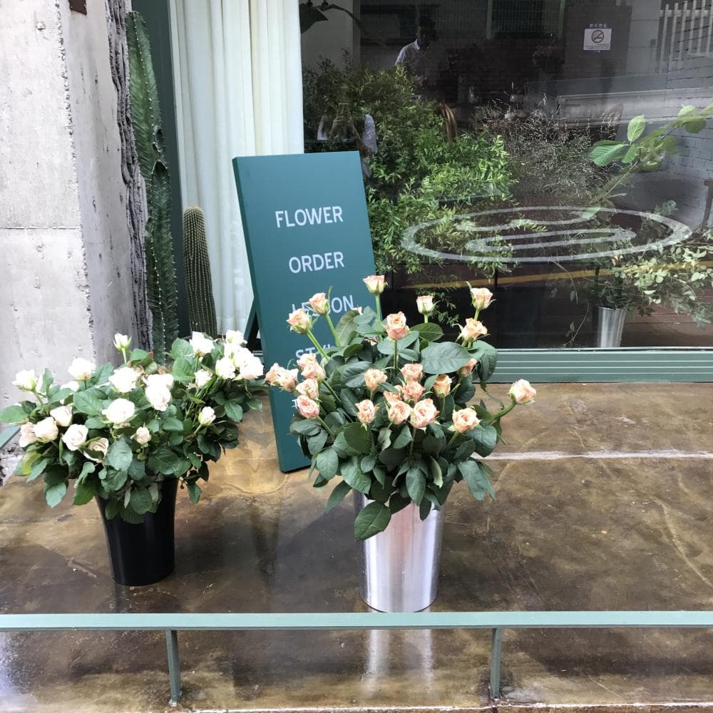 P2P 썸네일 이미지