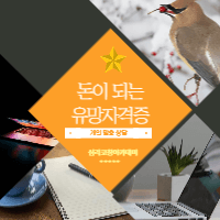 P2P 썸네일 이미지