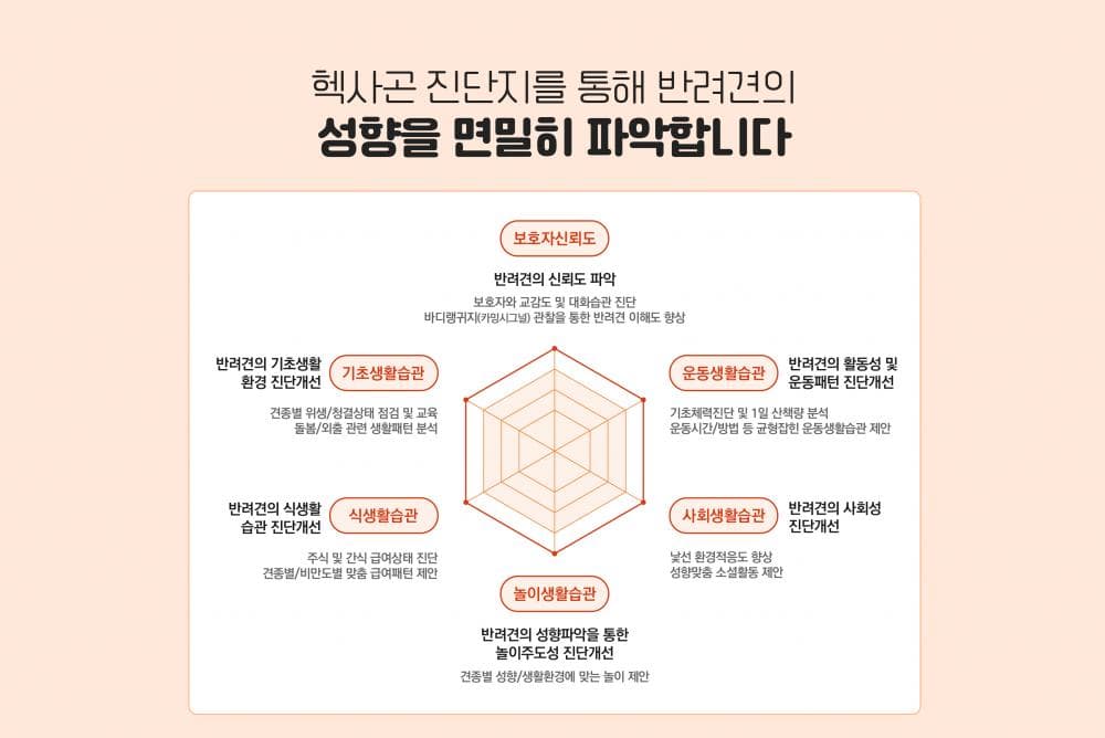 P2P 썸네일 이미지