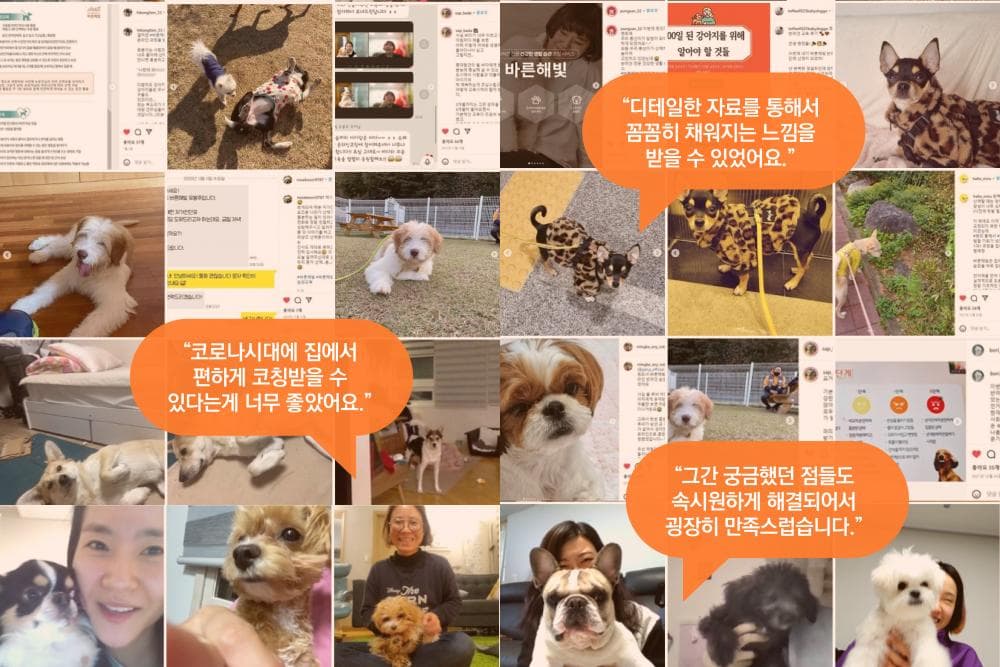 P2P 썸네일 이미지